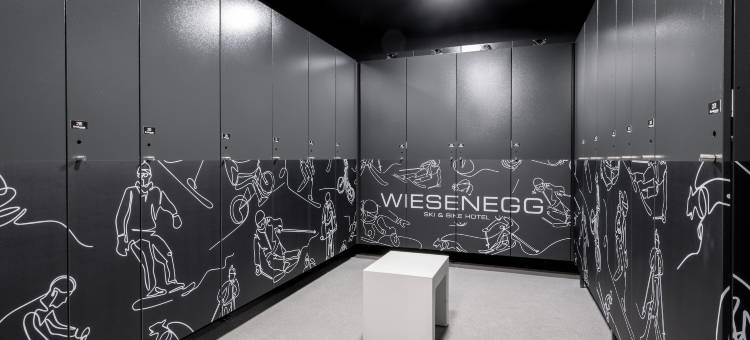 维森尼格滑雪&自行车酒店(Ski & Bike Hotel Wiesenegg)图片