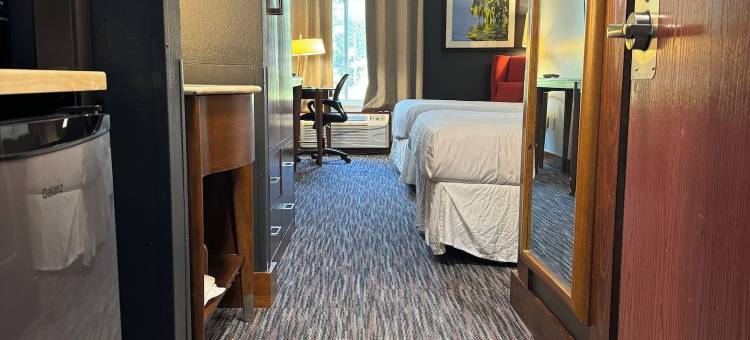 豪华酒店(Lux Hotel)图片