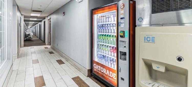 史密斯菲尔德/塞尔玛温德姆速 8 酒店(Super 8 by Wyndham Smithfield/Selma)图片