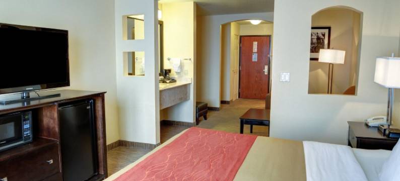 舒适套房酒店(Comfort Inn & Suites)图片