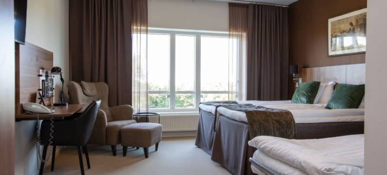 斯卡拉空斯酒店(Skara Konsthotell)图片