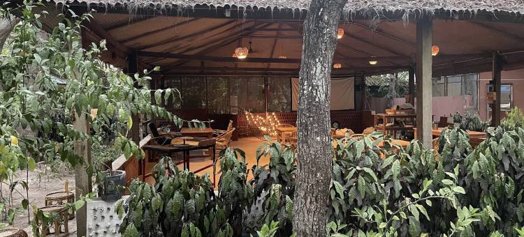 舞动的海牛(Dancing Dugong)图片