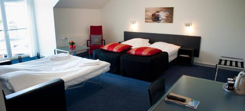 维特斯胡斯会议中心酒店(Vejlsøhus Hotel and Conference Center)图片