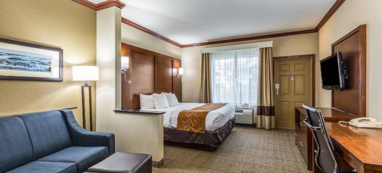 加尔维斯顿舒适套房酒店(Comfort Suites)图片