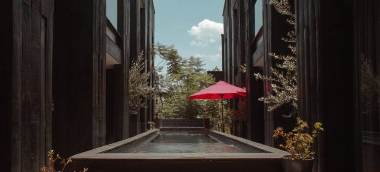 莱昂柯布艾琳娜酒店 - 设计酒店会员(Elena de Cobre, Leon, a Member of Design Hotels)图片