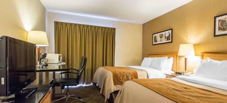 舒适酒店(Comfort Inn)图片