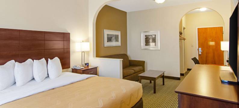 凯艺套房酒店-近丹吉尔奥特莱特购物中心(Quality Inn & Suites Near Tanger Outlet Mall)图片