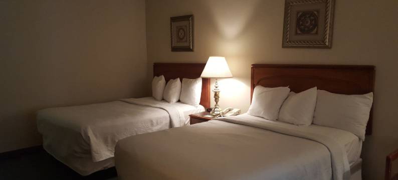 金顶旅馆(Gold Vault Inn)图片