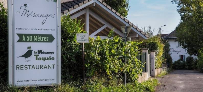 梅桑酒店(Hotel les Mésanges)图片