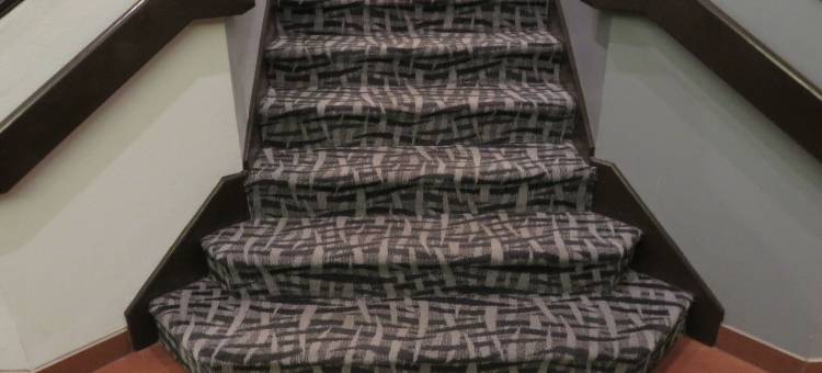 罗德威酒店(Rodeway Inn at Six Flags)图片