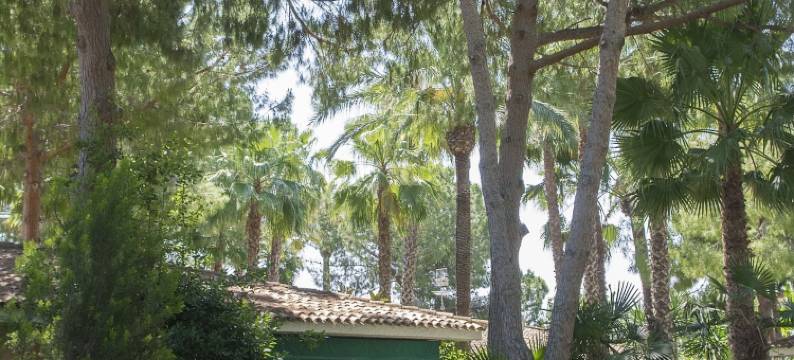 绿洲度假村(El Oasis Villa Resort)图片