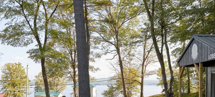 某处旅馆Calabogie(Somewhere Inn Calabogie)图片