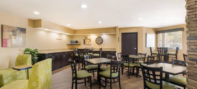 美斯泰套房(MainStay Suites Chattanooga Hamilton Place)图片