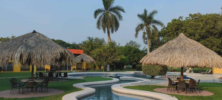 泰拉诺瓦酒店(Hotel Terranova)图片