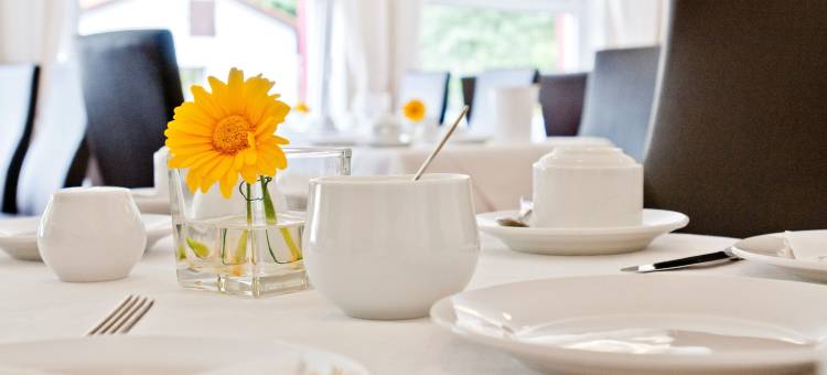 德国巴特哈尔茨雷吉欧酒店(Regiohotel Germania am Kurpark Bad Harzburg)图片