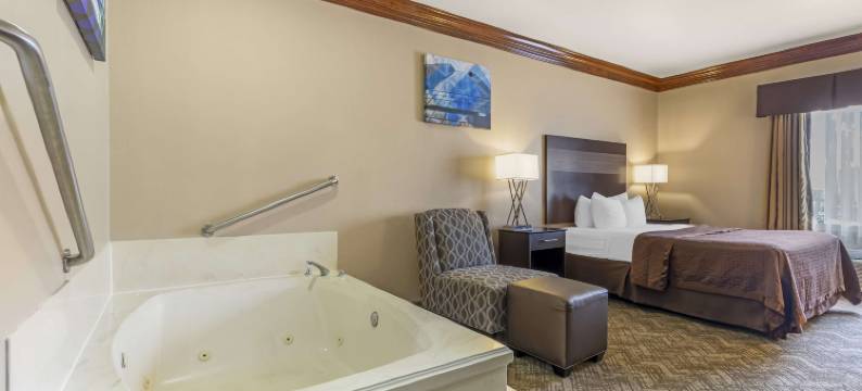 沃斯堡贝斯特韦斯特套房酒店(Best Western Fort Worth Inn  Suites)图片