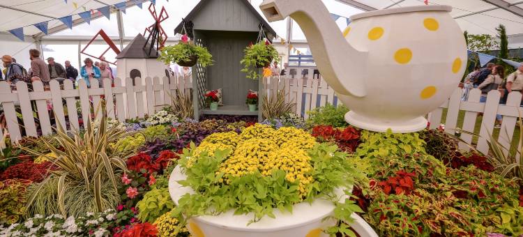 伊登代尔之家民宿(Edendale House)图片