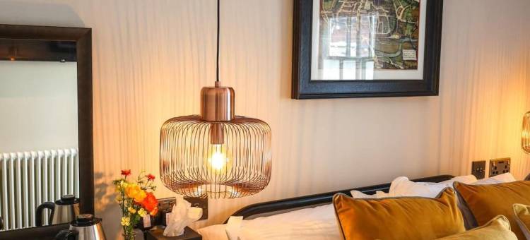 土耳其人的头部(The Turks Head)图片