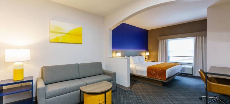 大学路舒适套房酒店(Comfort Suites University Drive)图片