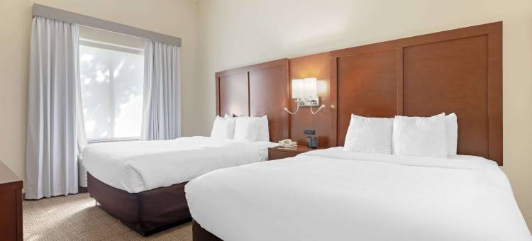 舒适套房酒店-西达拉斯科克雷尔山(Comfort Suites West Dallas - Cockrell Hill)图片