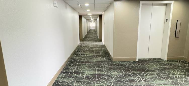 达拉斯爱田机场温德姆速 8 酒店(Super 8 by Wyndham Dallas Love Field Airport)图片