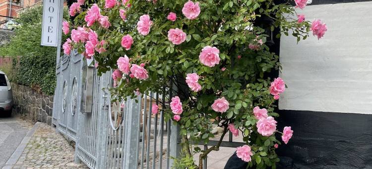 斯特凡森斯酒店(Stephansens Hotel)图片