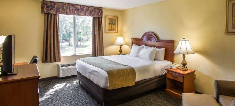 朱庇特I-95号舒适套房酒店(Comfort Inn & Suites Jupiter I-95)图片