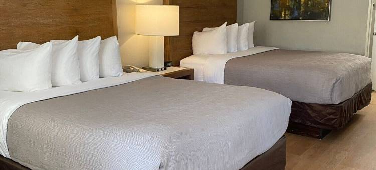 公园凯艺套房酒店(Quality Inn & Suites by the Parks)图片