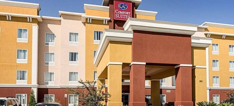 舒适套房酒店 - 近丹吉尔奥特莱斯(Comfort Suites Near Tanger Outlet Mall)图片