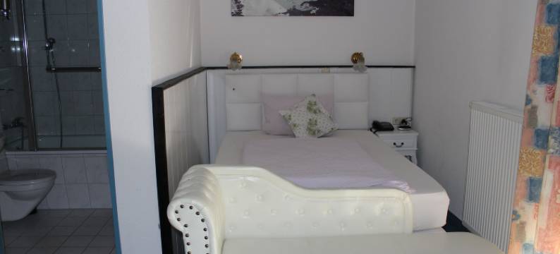 金色汽车酒店(Hotel Zum Goldenen Wagen)图片