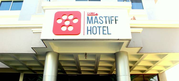 OTHPL旗下钦奇瓦德Mastiff酒店(Little Mastiff Chinchwad by Othpl)图片