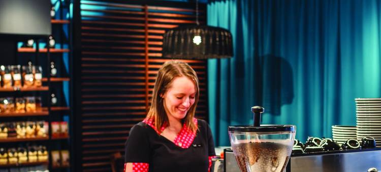 阿尔特渥太华酒店(Alt Hotel Ottawa Downtown)图片