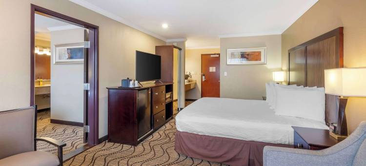 兰花贝斯特韦斯特优质套房酒店(Best Western Plus Orchid Hotel  Suites)图片