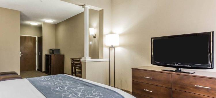 棕榈岛科耐特舒适套房酒店(Comfort Suites at Isle of Palms Connector)图片