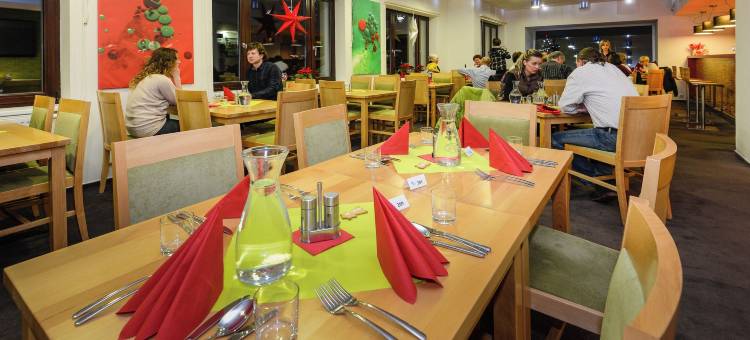 霍斯奇弗利索维包迪酒店(Horský Hotel Friesovy Boudy)图片