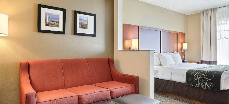 机场舒适套房酒店(Comfort Suites Airport)图片