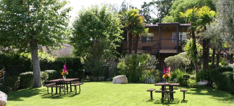 阿德莱德旅馆(Adelaide Inn)图片