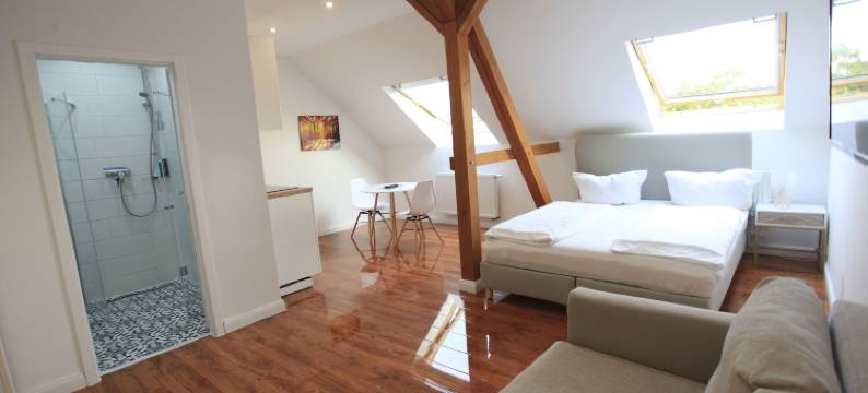 佐里柯夫公寓酒店 - 桑达及开放式公寓(Zollikof Aparts - Sauna & Studioapartments)图片