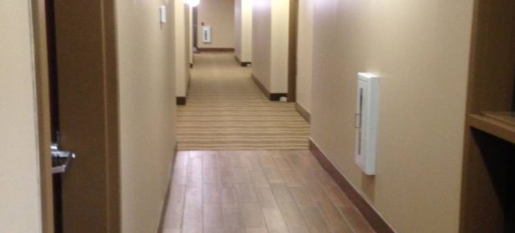 福明顿舒适酒店及套房(Comfort Inn & Suites Farmington - Victor)图片