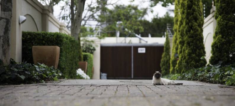 阿鲁姆民宿(Arum Guest House)图片