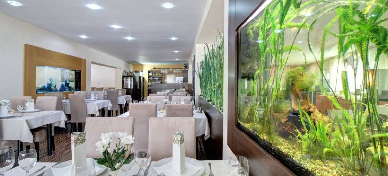 迪克森酒店(Dixon Resort)图片