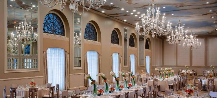 阿道弗斯傲途格精选酒店(The Adolphus, Autograph Collection)图片