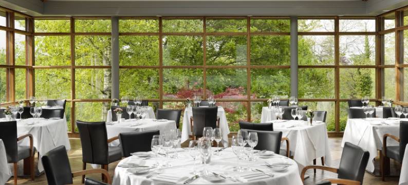 德鲁伊兹格林度假酒店(Druids Glen Resort)图片