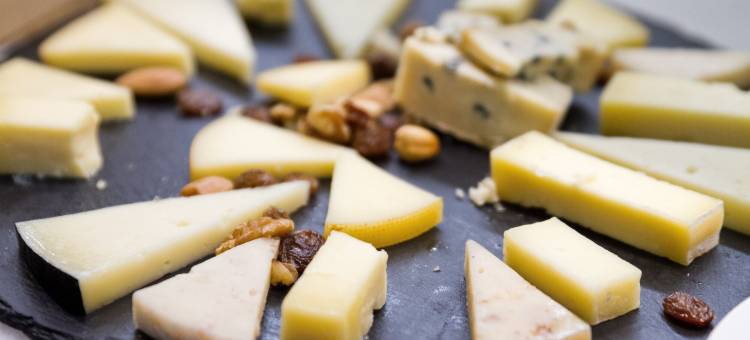 德阿维莱斯奥卡别墅(Oca Villa de Avilés Hotel)图片