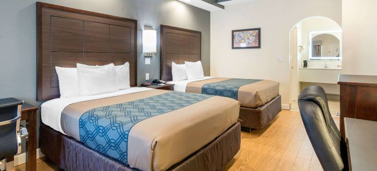 威洛布鲁克伊克诺套房酒店(Econo Lodge Inn & Suites Houston Willowbrook)图片