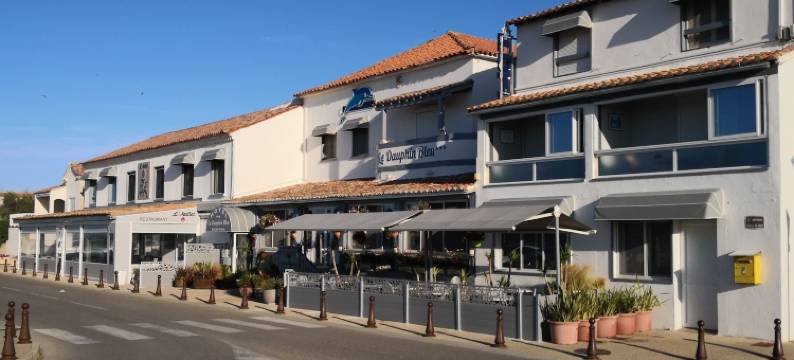 布鲁勒多芬酒店(Le Dauphin Bleu)图片