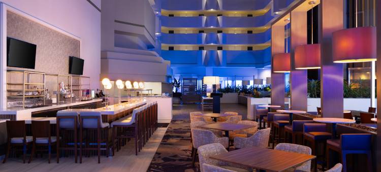 博卡－拉顿大使套房酒店(Embassy Suites by Hilton Boca Raton)图片