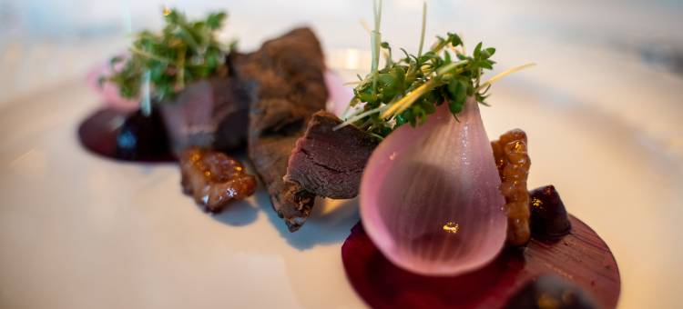 北辛库洛酒店(Nørre Vissing Kro)图片