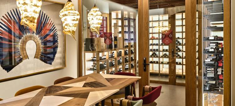 萨马涅戈宫酒店(Hotel Palacio de Samaniego)图片