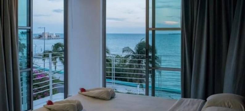 努尔酒店(Hotel Noor)图片